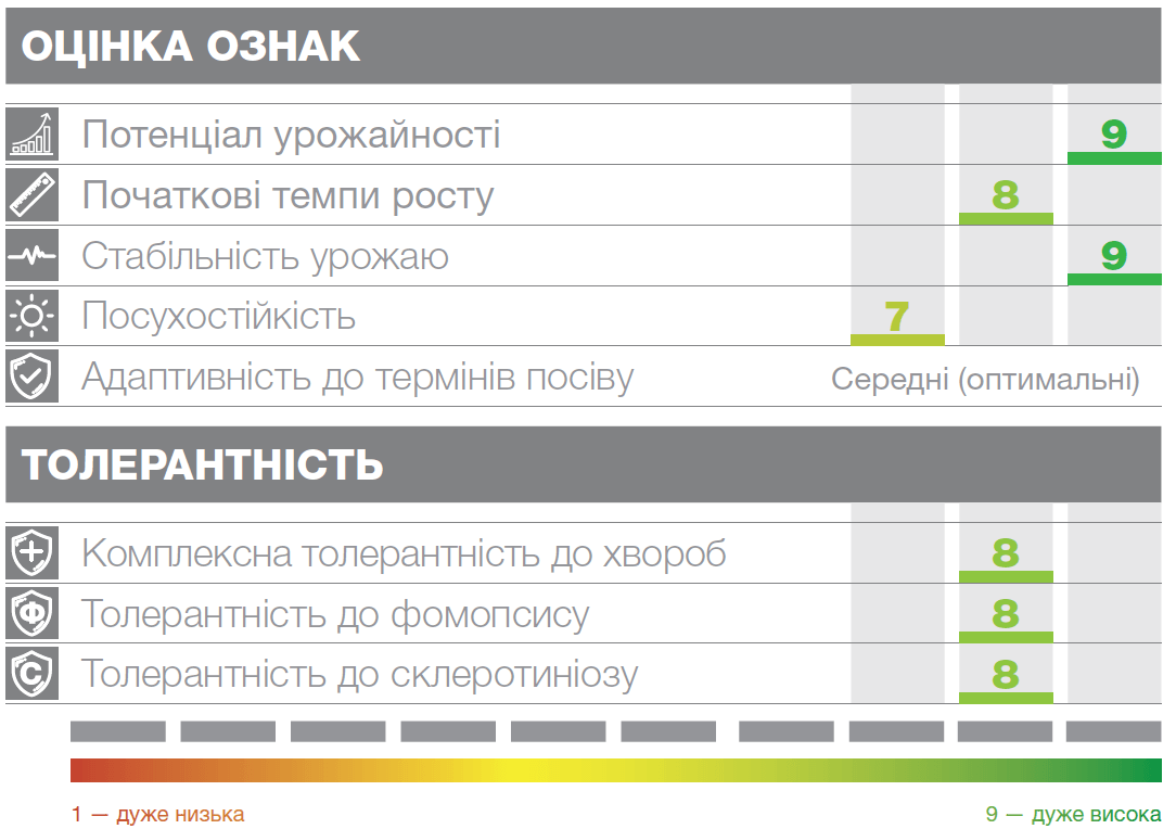 Купить  Семена подсолнечника КУПАВА 